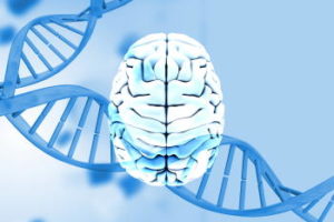 NR-formation-cerveau hypnose-epigenetique